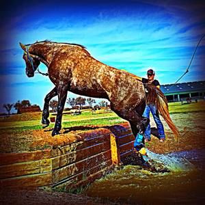 Meet your Posher, Derina